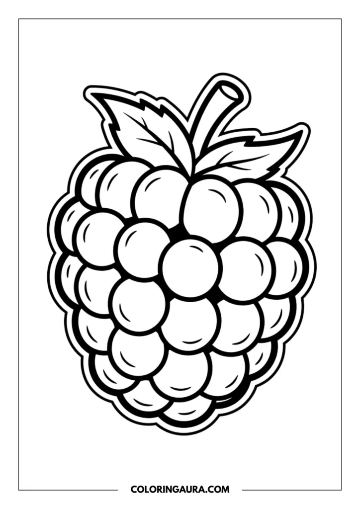 Line art coloring page showing a detailed raspberry composed of many small round segments with leaves on top.