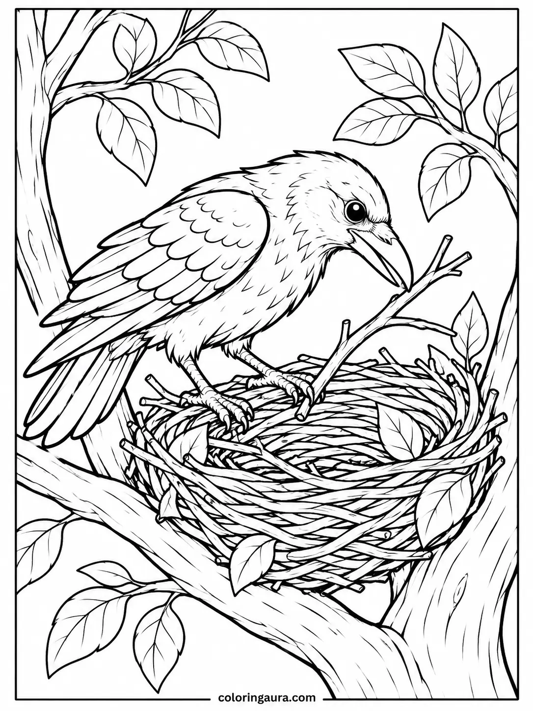 Raven Building a Nest Coloring Page